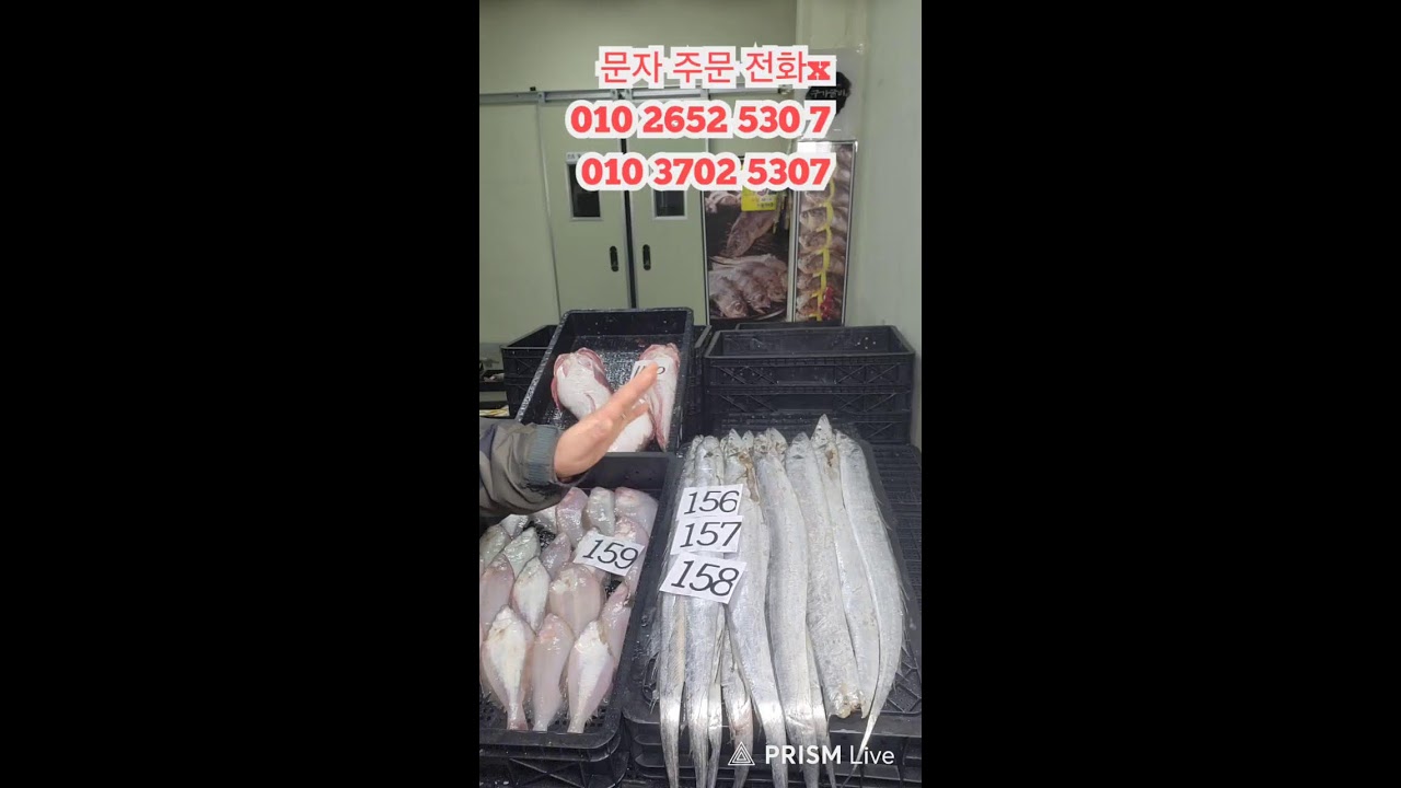 법성언니 라이브 방송