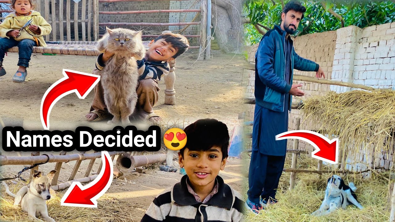 Finally! Pets k Names Decide Ho Gaye 😍🎉