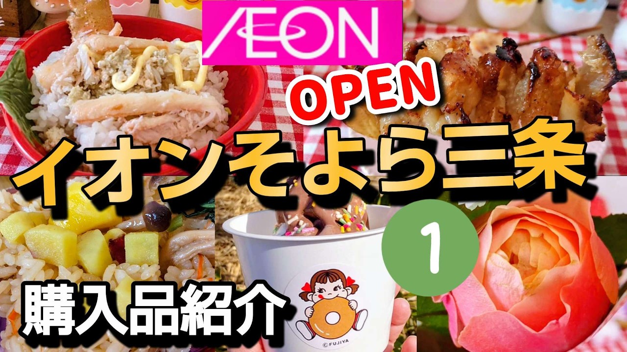 【イオンそよら三条須頃店オープン①♥️】購入品紹介#イオン#そよら#トップバリュ#オープンセール#FUJIYAペコちゃんmilkyドーナツ#イオンスーパー