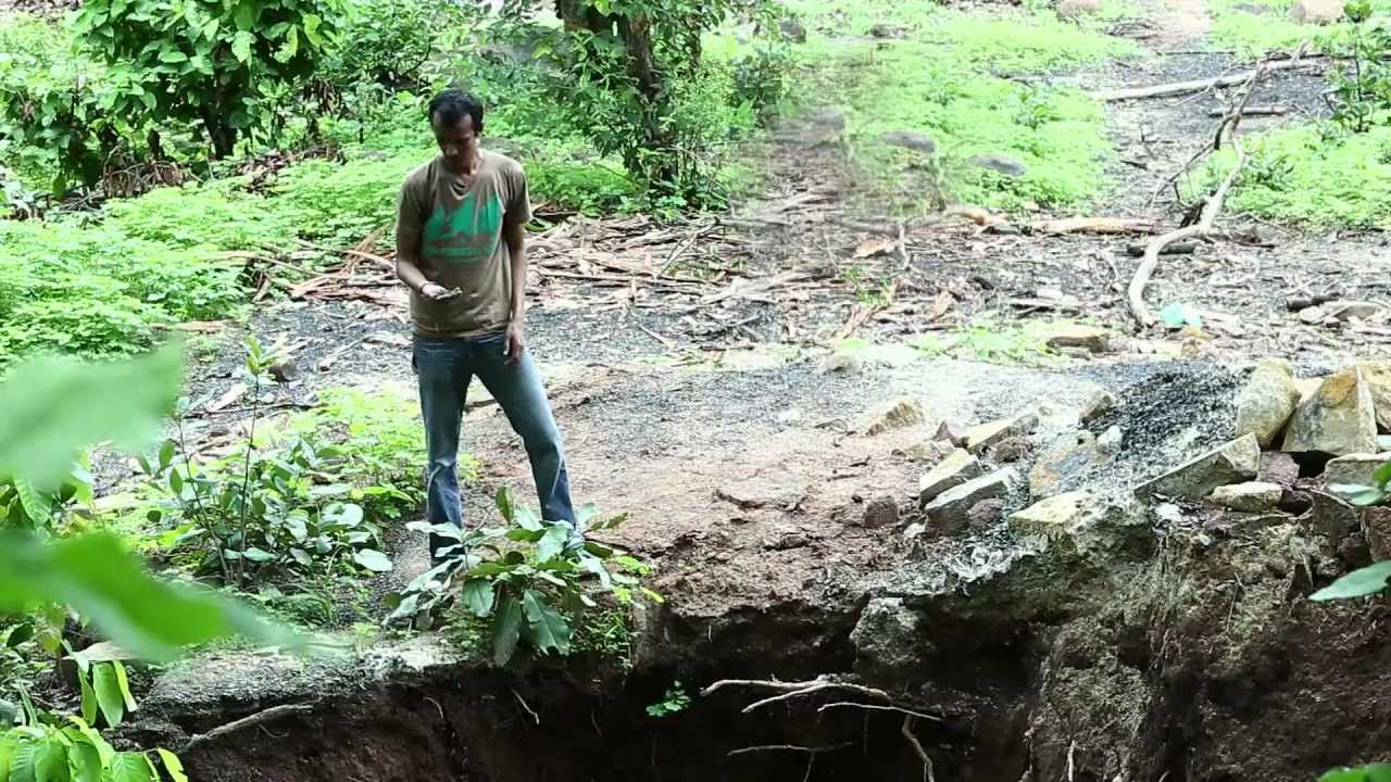 Junglistan - The Story of the Forest Dwellers (Full Version)