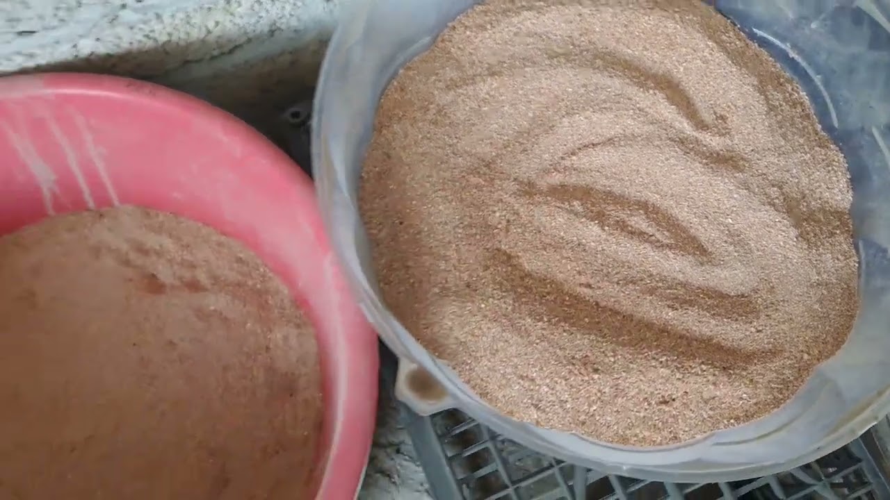 Cría de Zophoba Paso a Paso #zophoba #tenebroso #alimentación #cría #cultivar