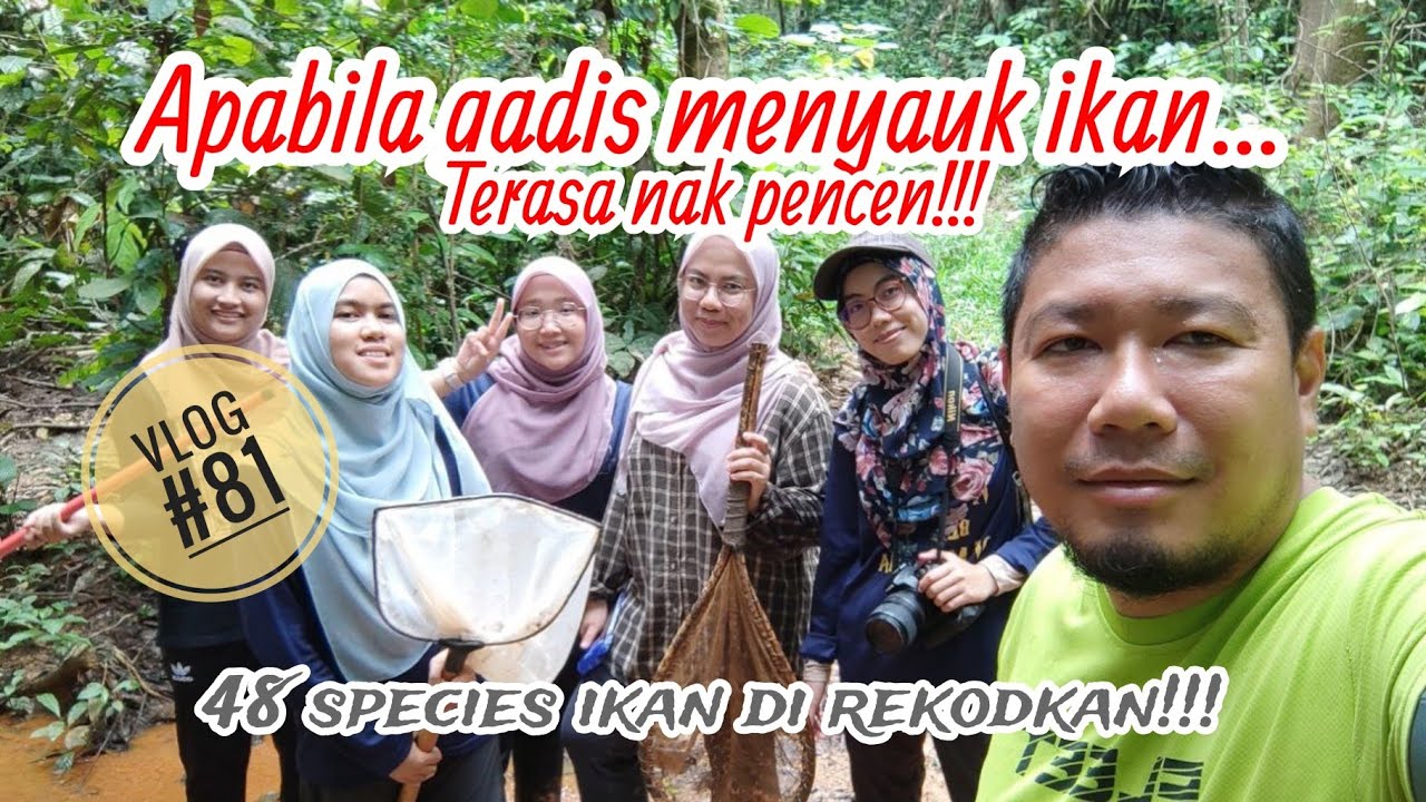 Sauk ikan 48 species : Bersama gadis saintis