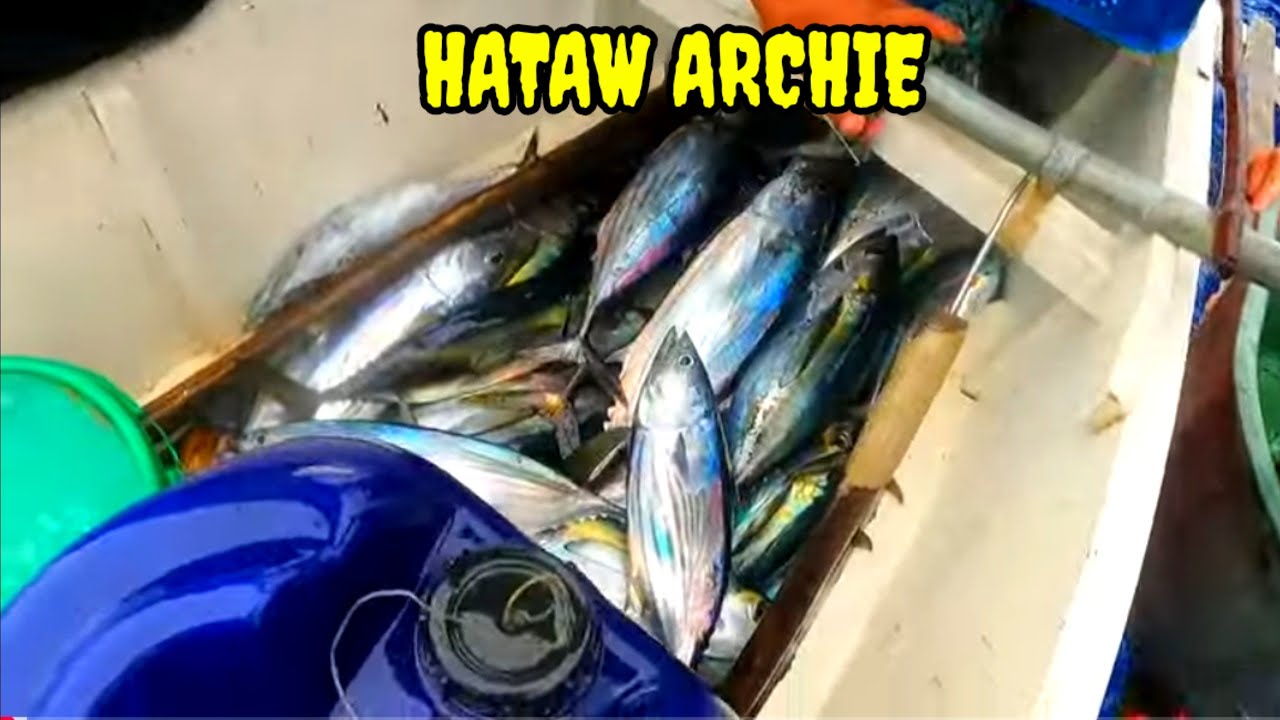 P43 - HINDI RIN NAG PADAIG SI KABISIG ARCHIE - EP47