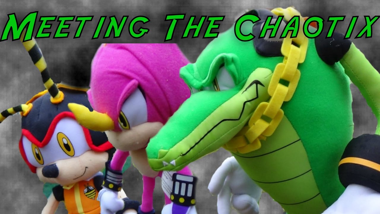 Meeting The Chaotix