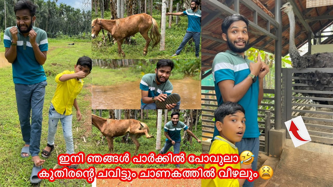 കുതിരന്റെ ചവിട്ടും😩ചാണകത്തില്‍ വീഴലും😂ഇനി പാര്‍ക്കില്‍ പോവൂലാ😭 #anshisvlogs #comedy