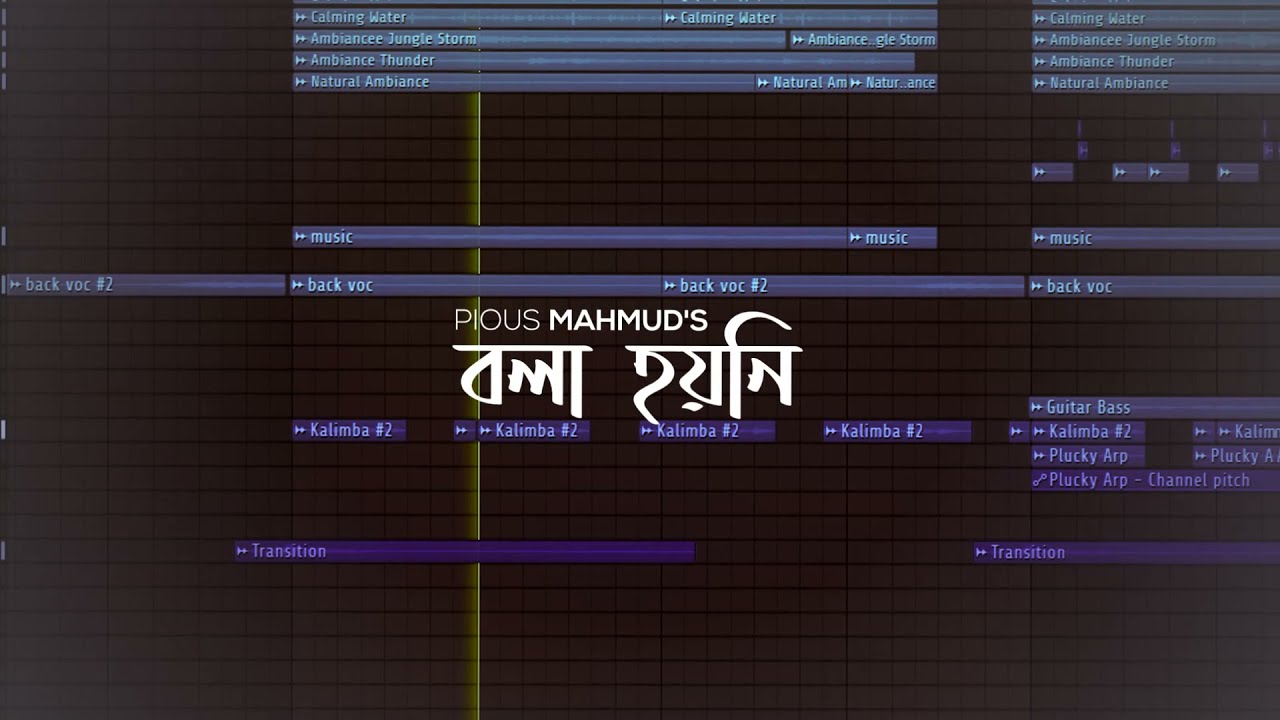 Pious Mahmud - Bola Hoyni (বলা হয়নি) | Instrumental