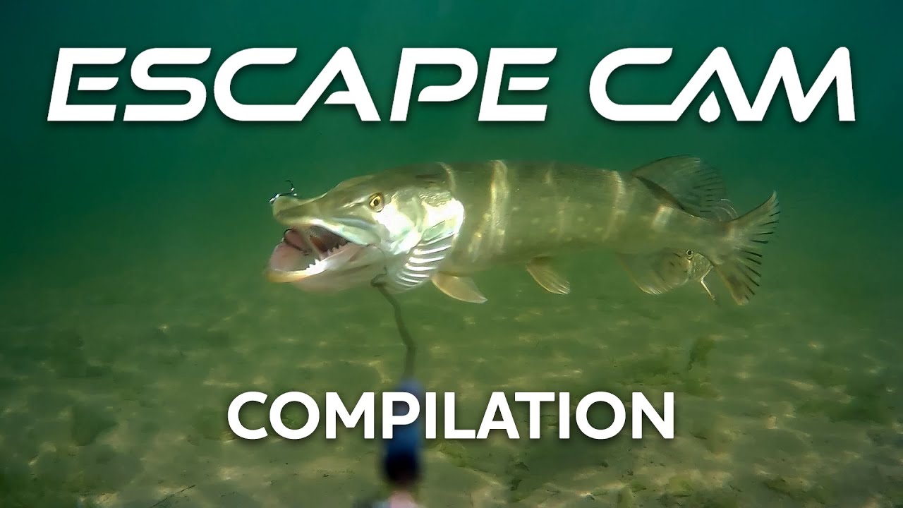 Underwater Pike Strike Compliation | Escape Cam