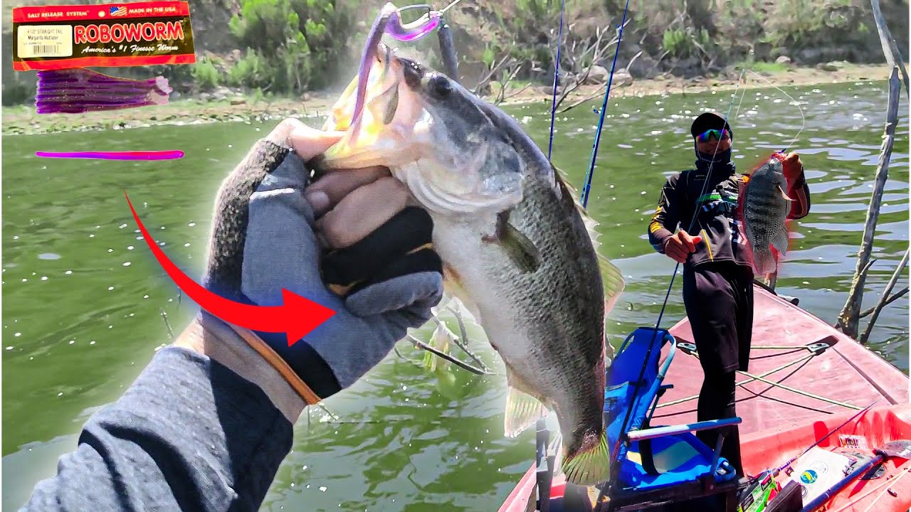 Эта приманка — магнит для окуня!! РОБОВОРЫМ ЧЕРВЯМ!! 🎣✌