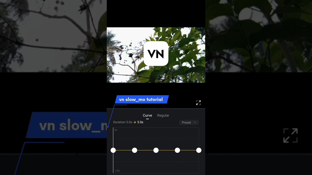 Slow & Fast Motion Video Editing in VN app | #shorts