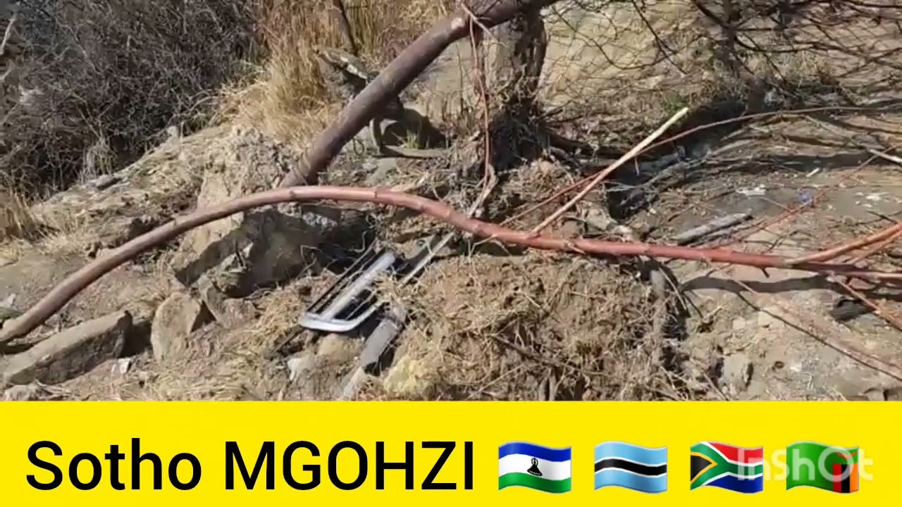 LINYATSI LISHOA KA SEHLOOHO MAQALIKA