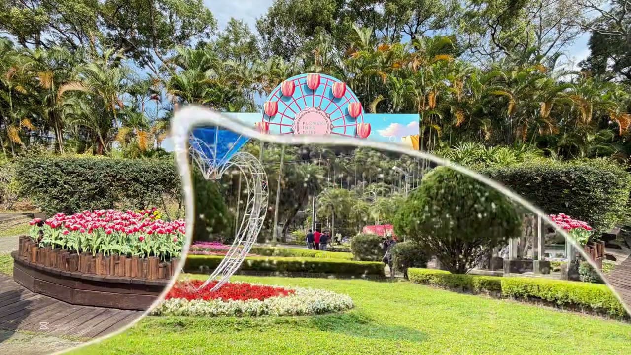 #2026士林官邸鬱金香🌷展浪漫滿園