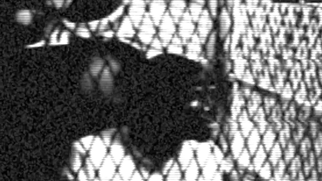 Kylledge - Locked Up (Free Da Goonie Gang) Official Music Video (Dir. By @ggridah18)