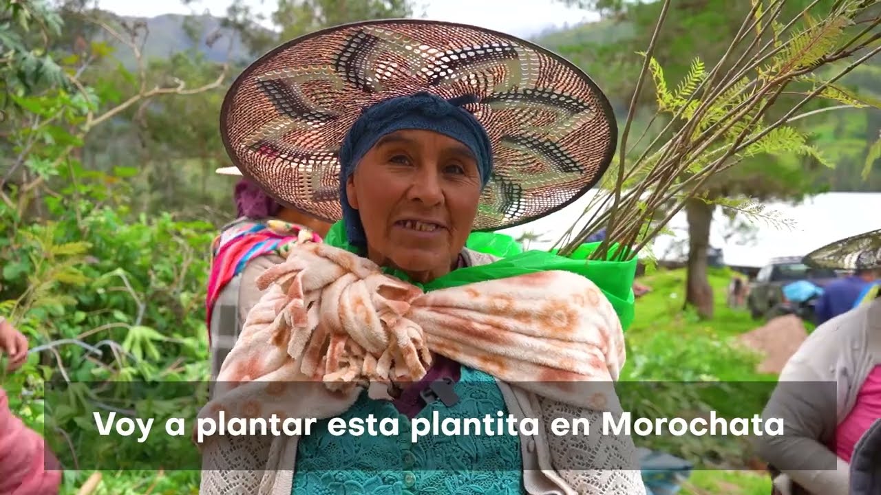 ENDE inició plan de reforestación en Morochata