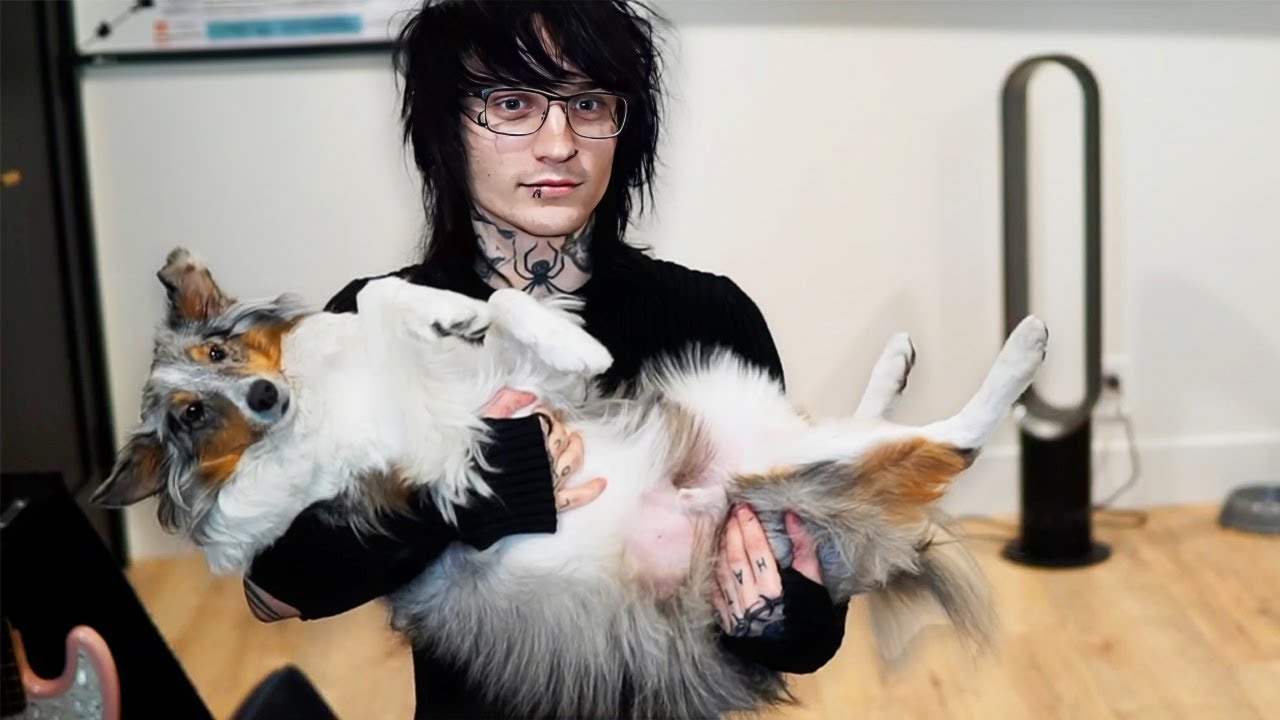I got a dog..