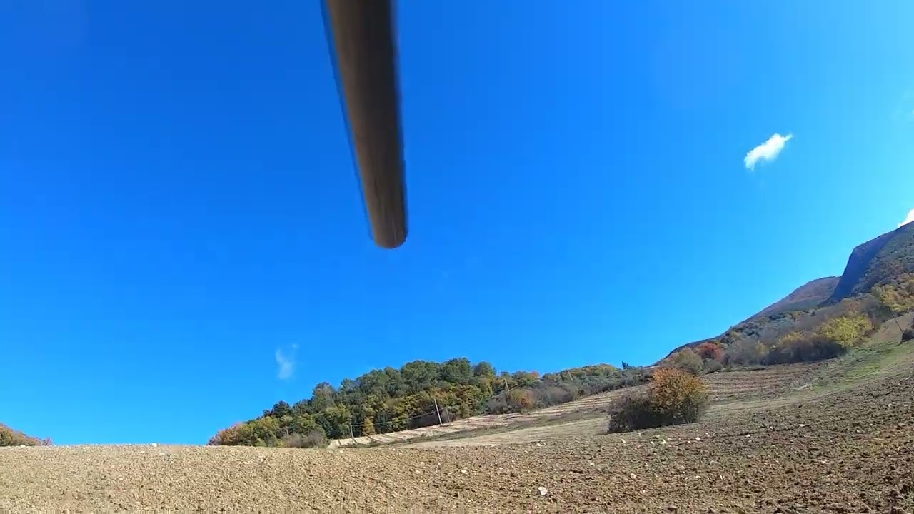 Secondo Caccia al cinghiale Monteluco di Spoleto @giacomosaidi5532 