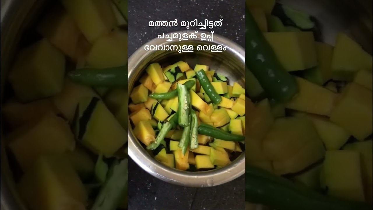സിമ്പിൾ മത്തൻ കറി  #thaninadan#apykitchen