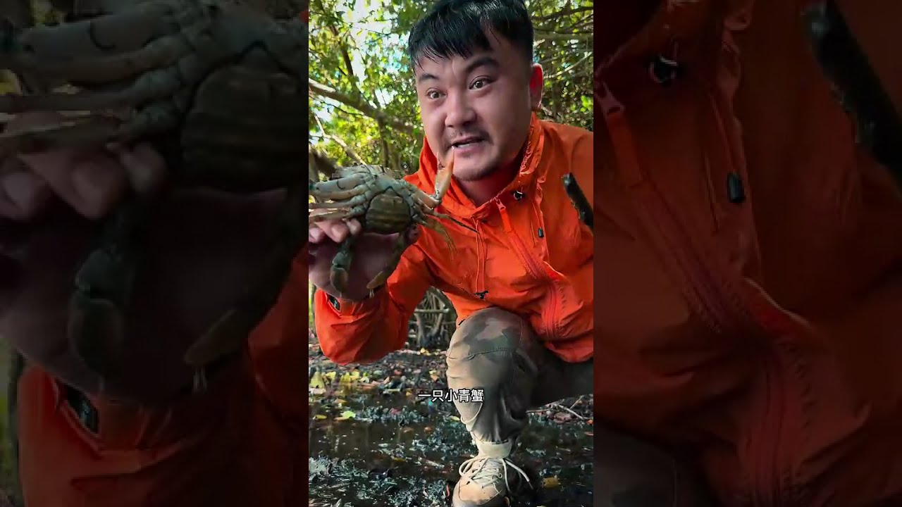 【户外青狼】全網最真實野外求生：印尼卡伊羣島極限生存！#绝地求生 #outdoors #户外
