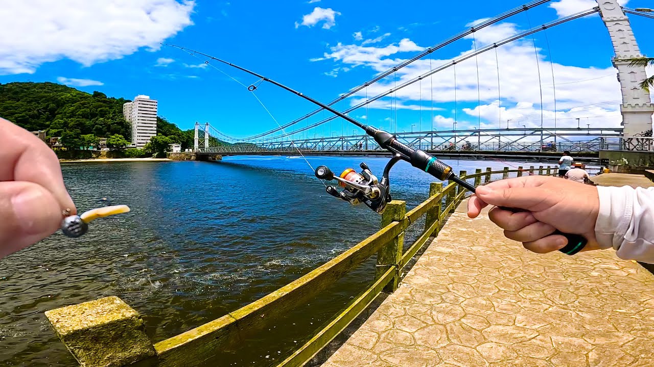 ME SURPREENDI com essa PESCARIA na PONTE PÊNSIL e DECK do PESCADOR de SÃO VICENTE!