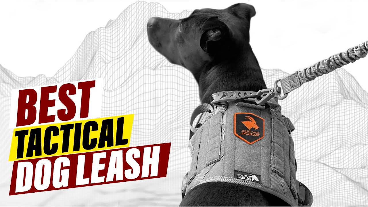 Tactical Dog Leash Showdown: Best Options for Control and Safety