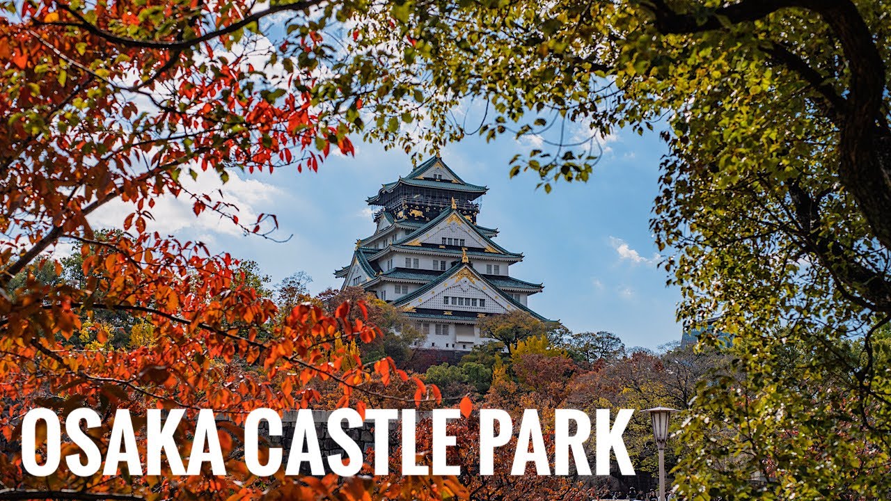 大阪城公園の紅葉 2025 Osaka Walk - Autumn leaves at Osaka Castle Park 4K HDR Japan Contax 50mm 85mm Planar
