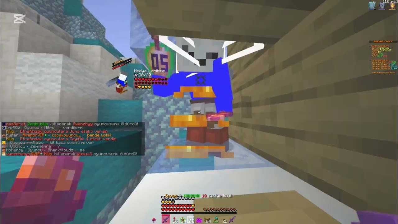 Avenorcraft Kill Montage #10