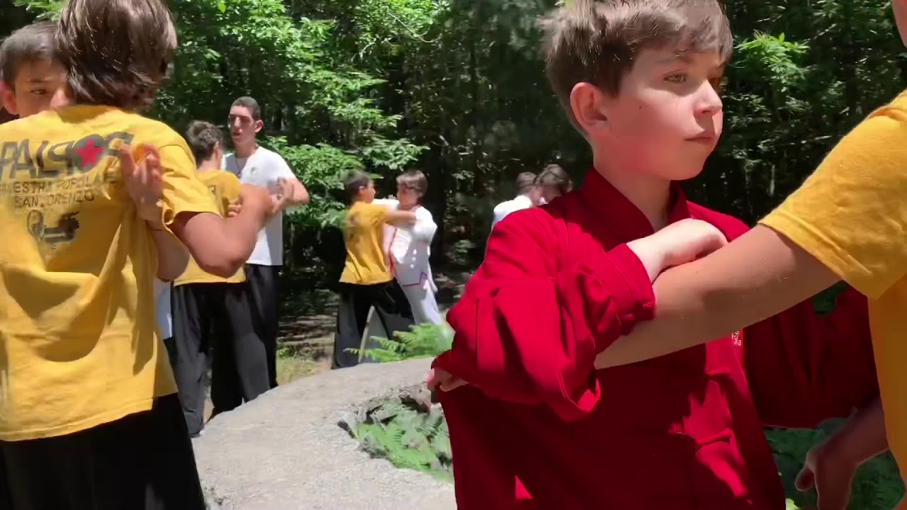 Taijiquan ITKA