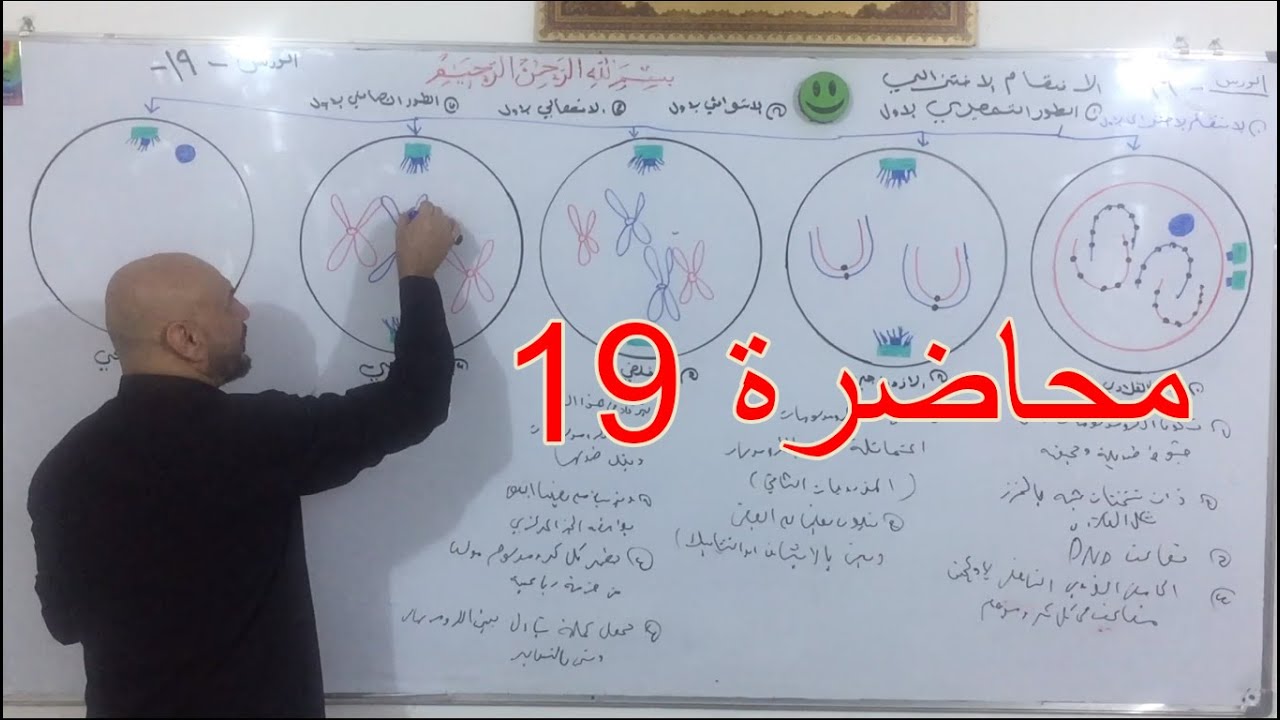 احياء السادس العلمي الفصل الاول الخلية محاضرة 19/ الانقسام غيرالمباشرالاول الطور التمهيدي