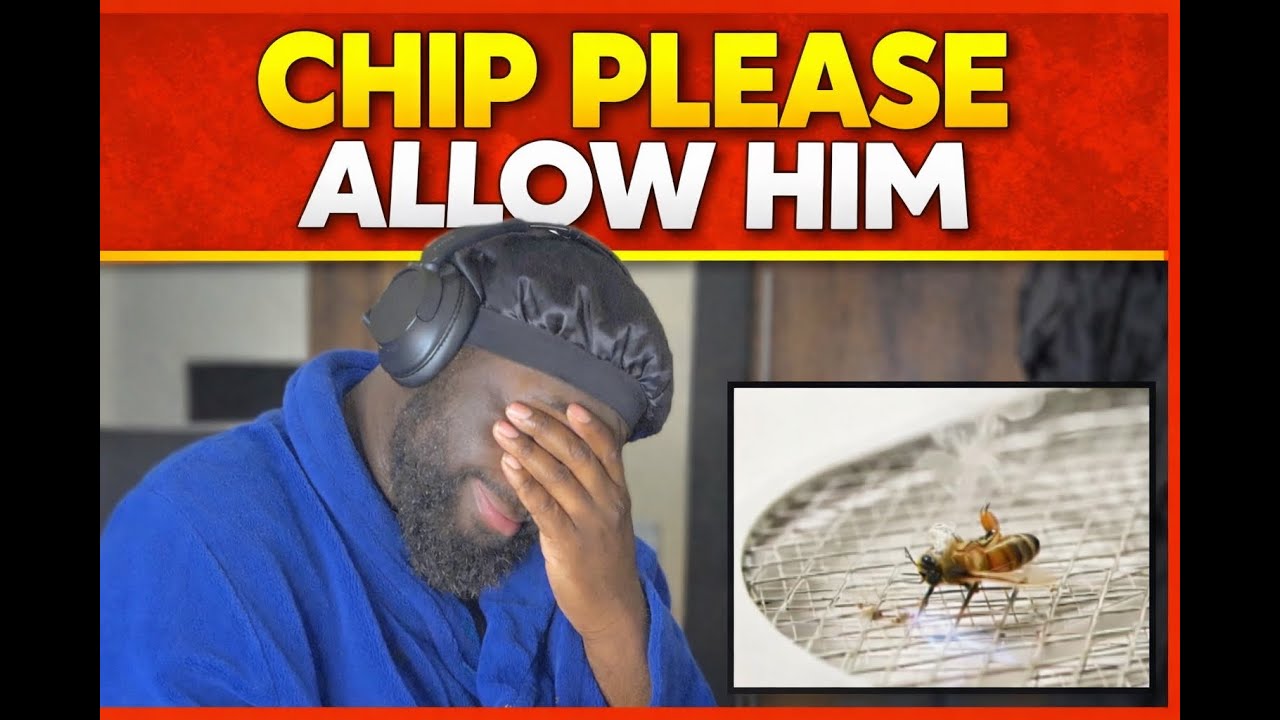 He's Not taking Ambush Serious| CHIP - PEST CONTROL (Reaction) #rap