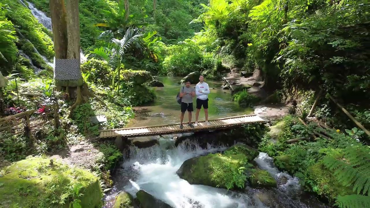 Nature of Bali | Rice Terraces & Waterfalls - Lost Frequency