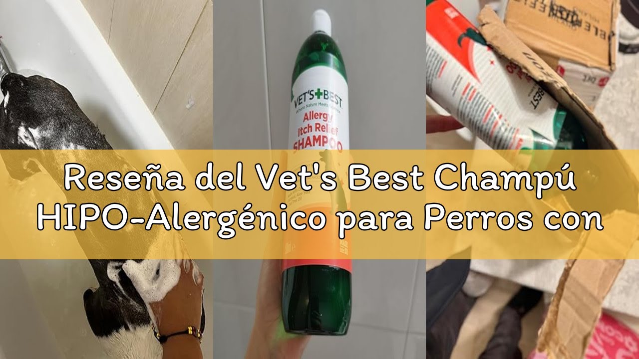 Reseña del Vet's Best Champú HIPO-Alergénico para Perros con Piel Sensible, Alivia el Malestar de la
