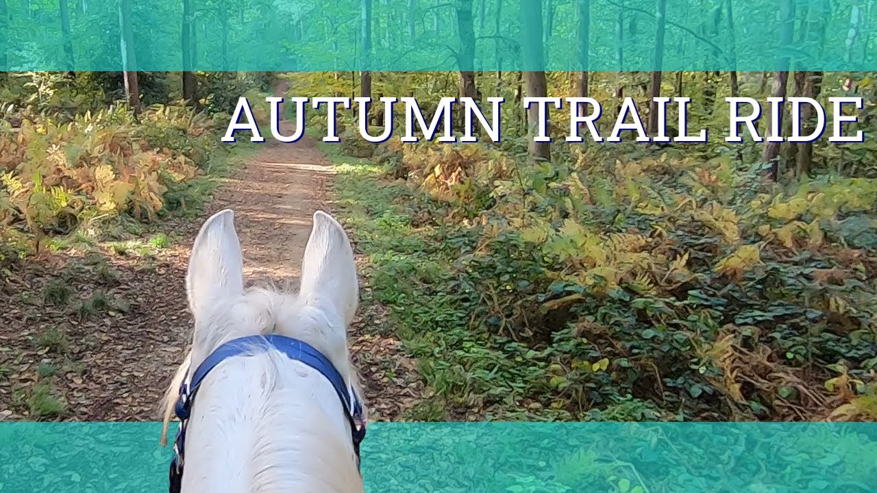 Осенний велопробег по английскому маршруту — видеоблог 300 — Бет Эндьюранс