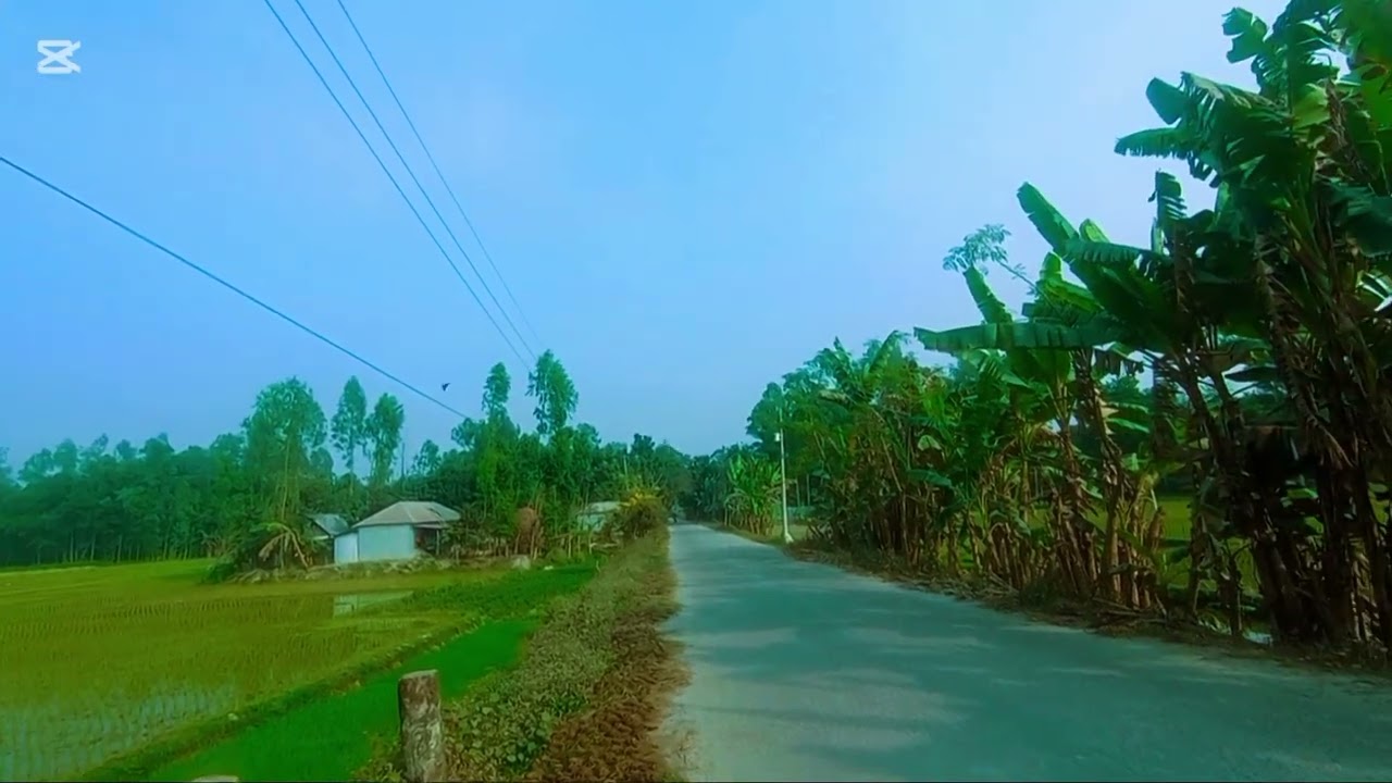 ভিডিও টি ভালো লাগলে লাইক কমেন্ট সেয়ার করে পাশে থাকুন ❤️