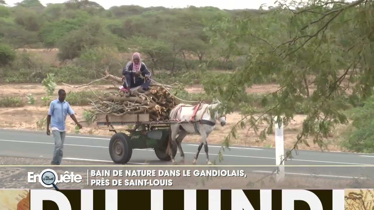 ITV: À la découverte de Gandiol entre Saint-Louis et Louga ....