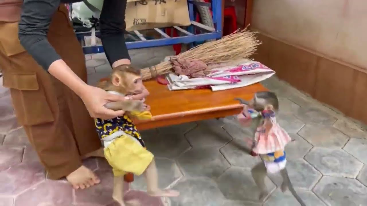 [ Omq..] Mom hrd to catch Jasmine that run over mom training work