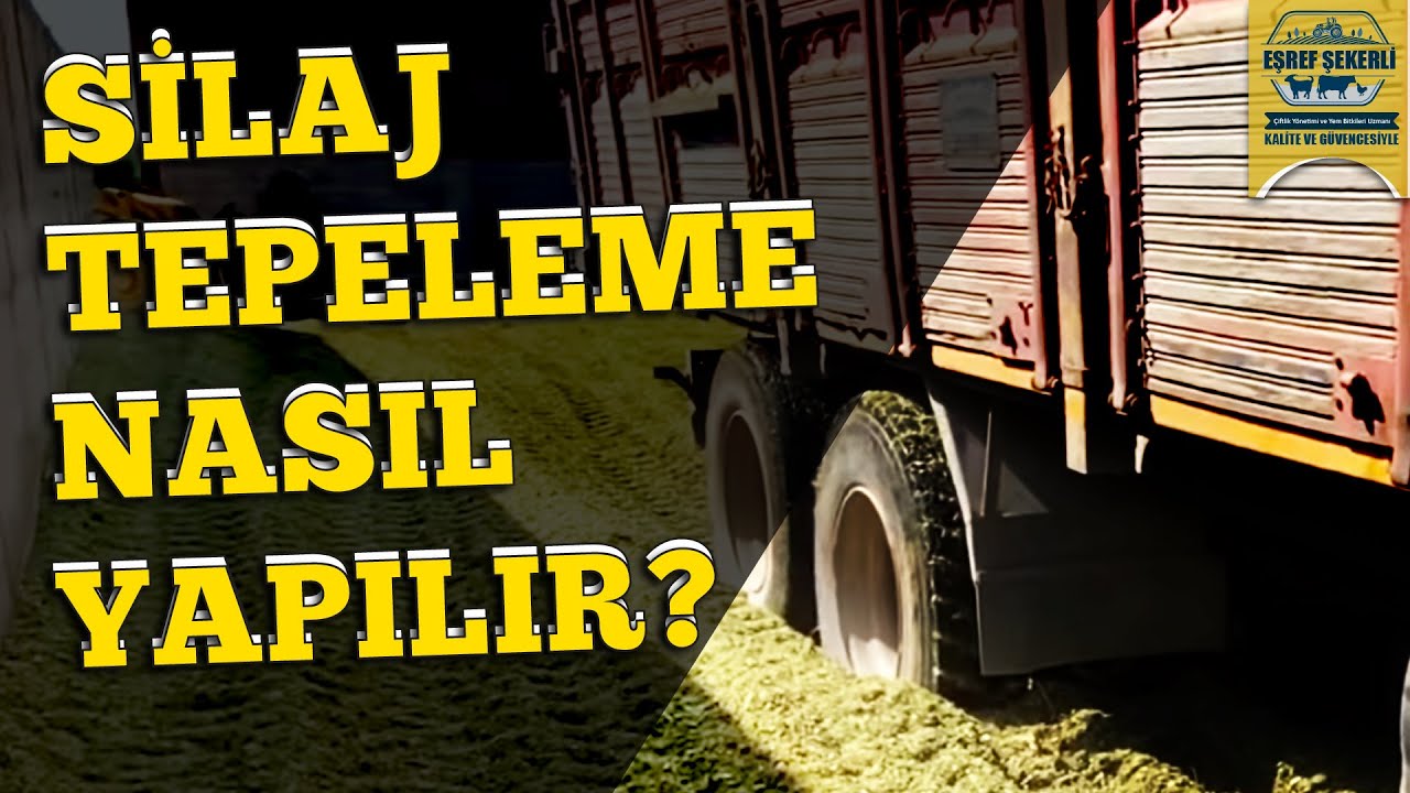 Silaj Tepeleme Nasıl Yapılır? #Silaj #Tepeleme