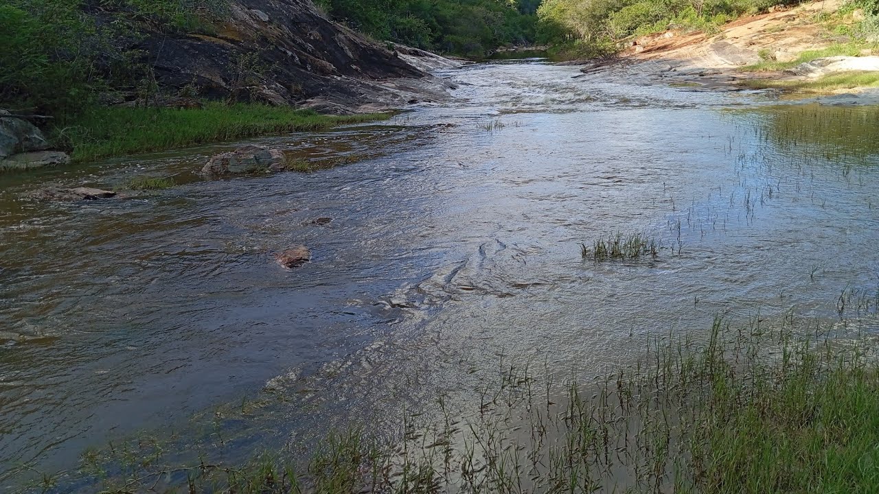 VENHA CONHECER O CAMINHO DA JIBÓIA (Ribeirão)