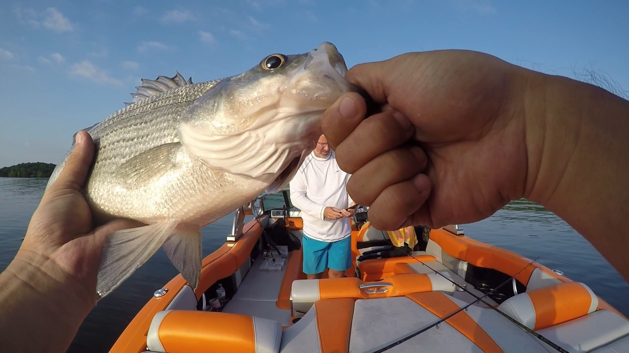 Trollin' for Big Bass on Table Rock Lake