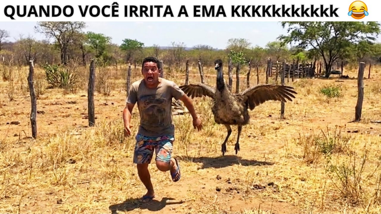 DALE CARREIRA!! 😂🤣 (TENTE NÃO RIR) melhores  memes da internet 