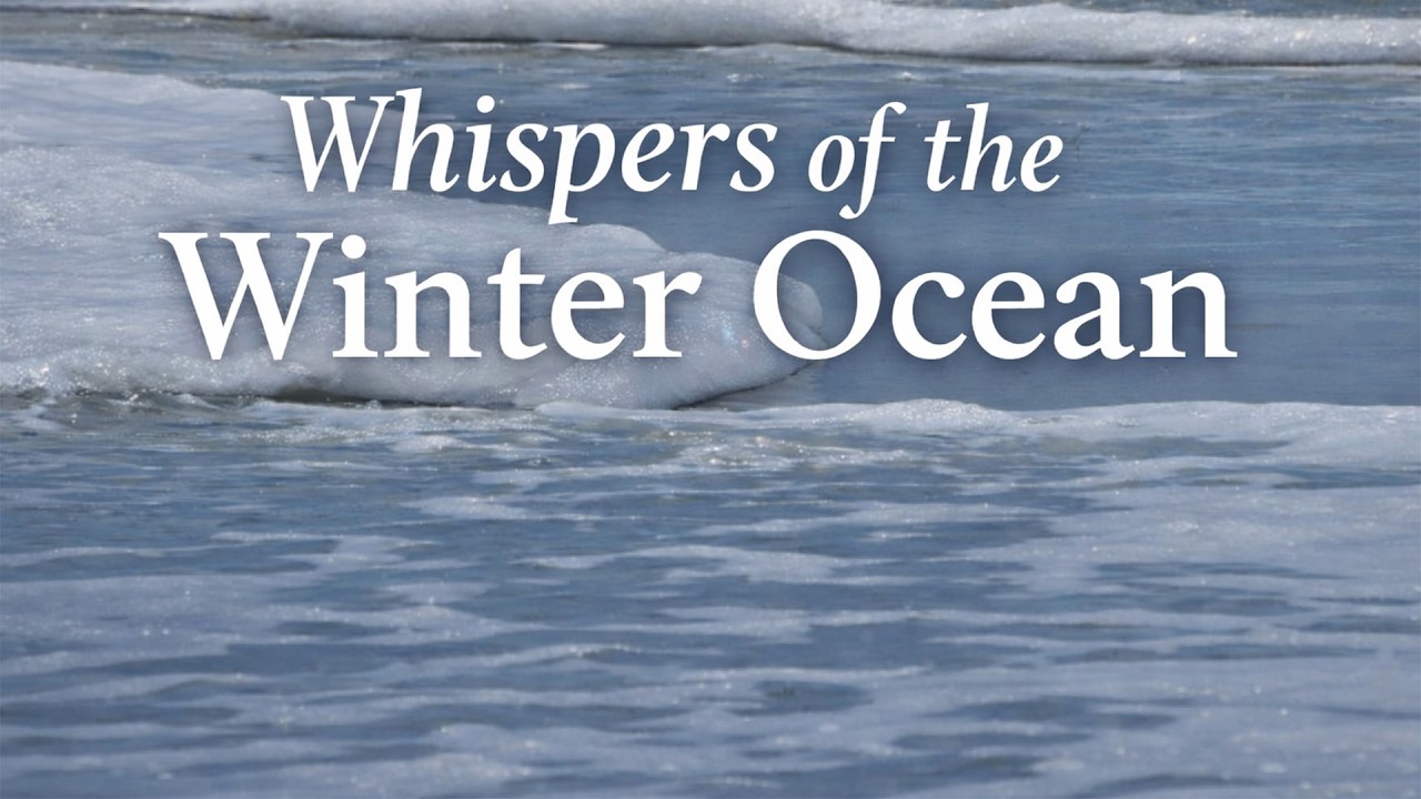 Whispers of the Winter Ocean