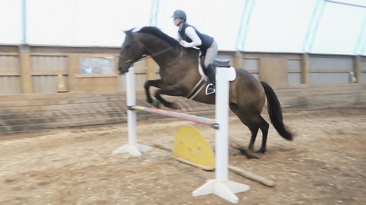 First Time Jumping 3 Feet With My Horse!