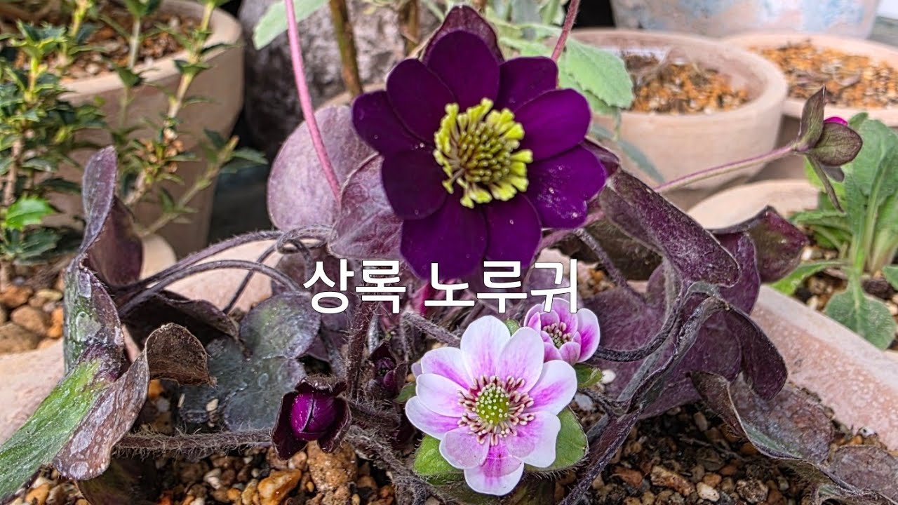 2026년 2월 15일