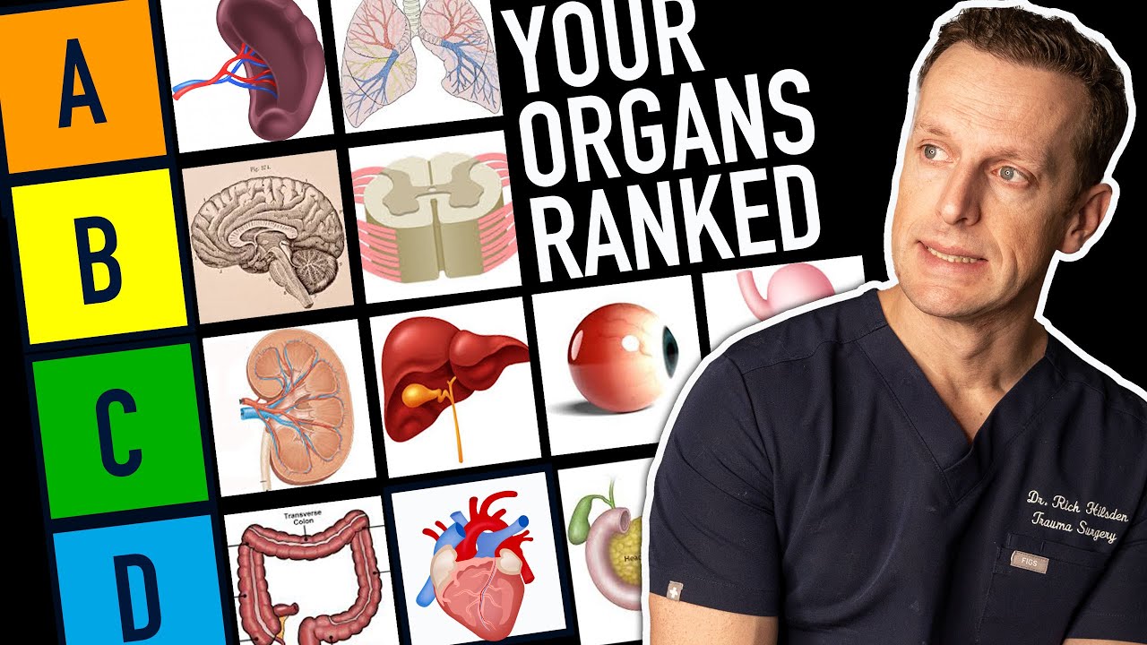 Which ORGAN is the best .... to remove 😈