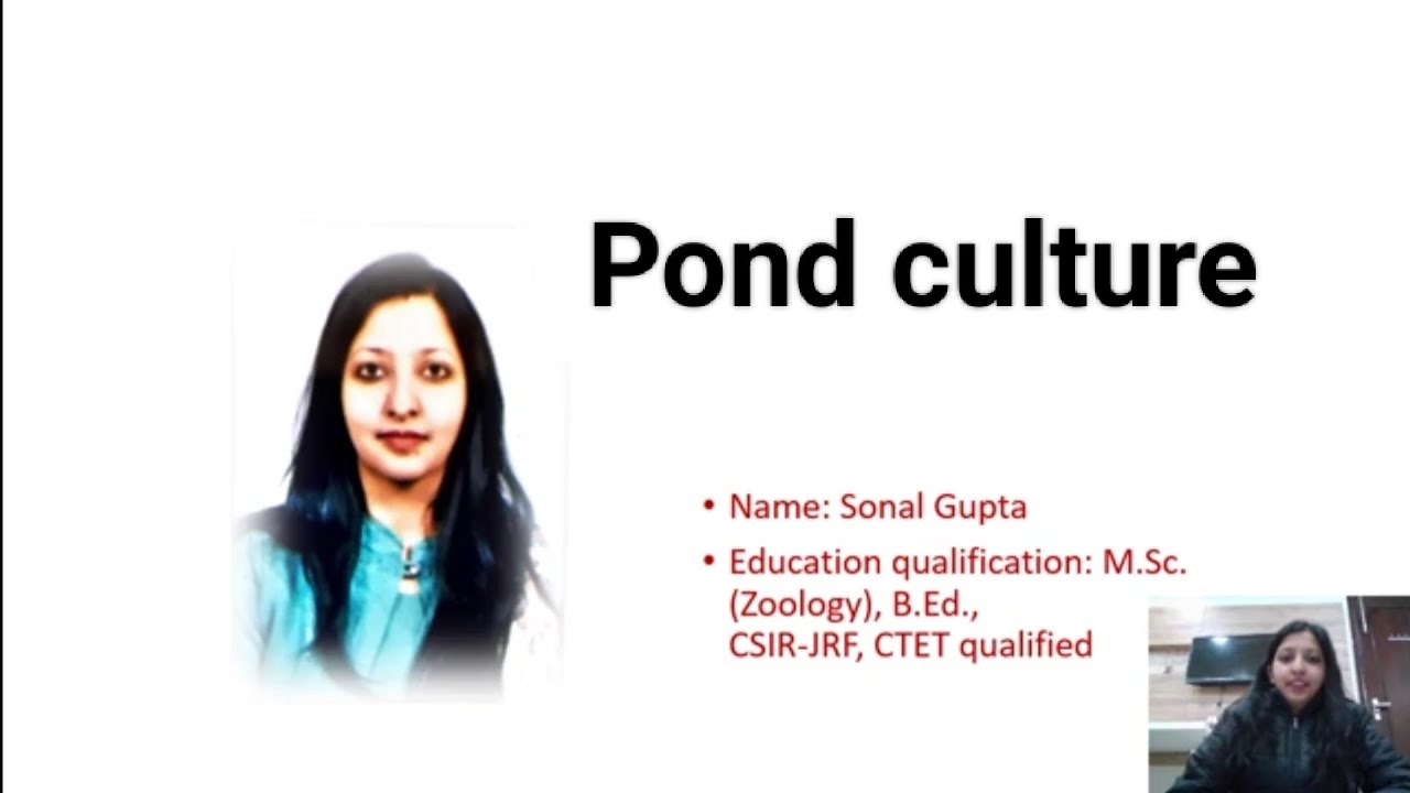 Pond culture| Techniques of Fish farming| Aquaculture| BSc Medical 5th sem #mdu #crsu #kuk #cblu