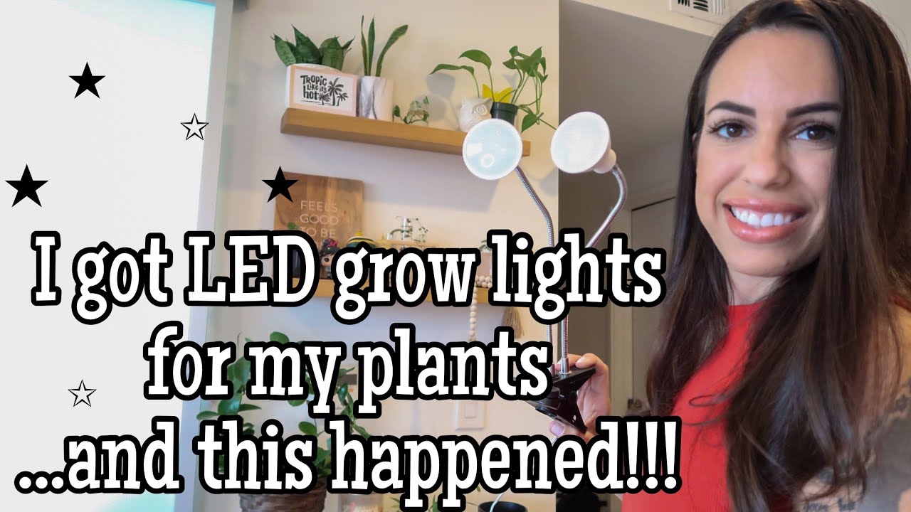 I got LED grow lights for my PLANTS...and this happened!!