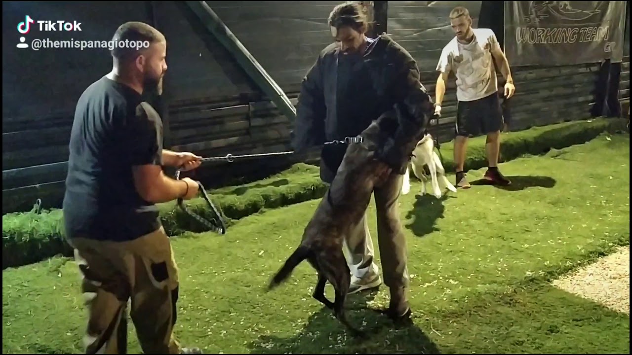 ERSA GOLDEN APHRODITE VS LEYTERHS MAKRHS