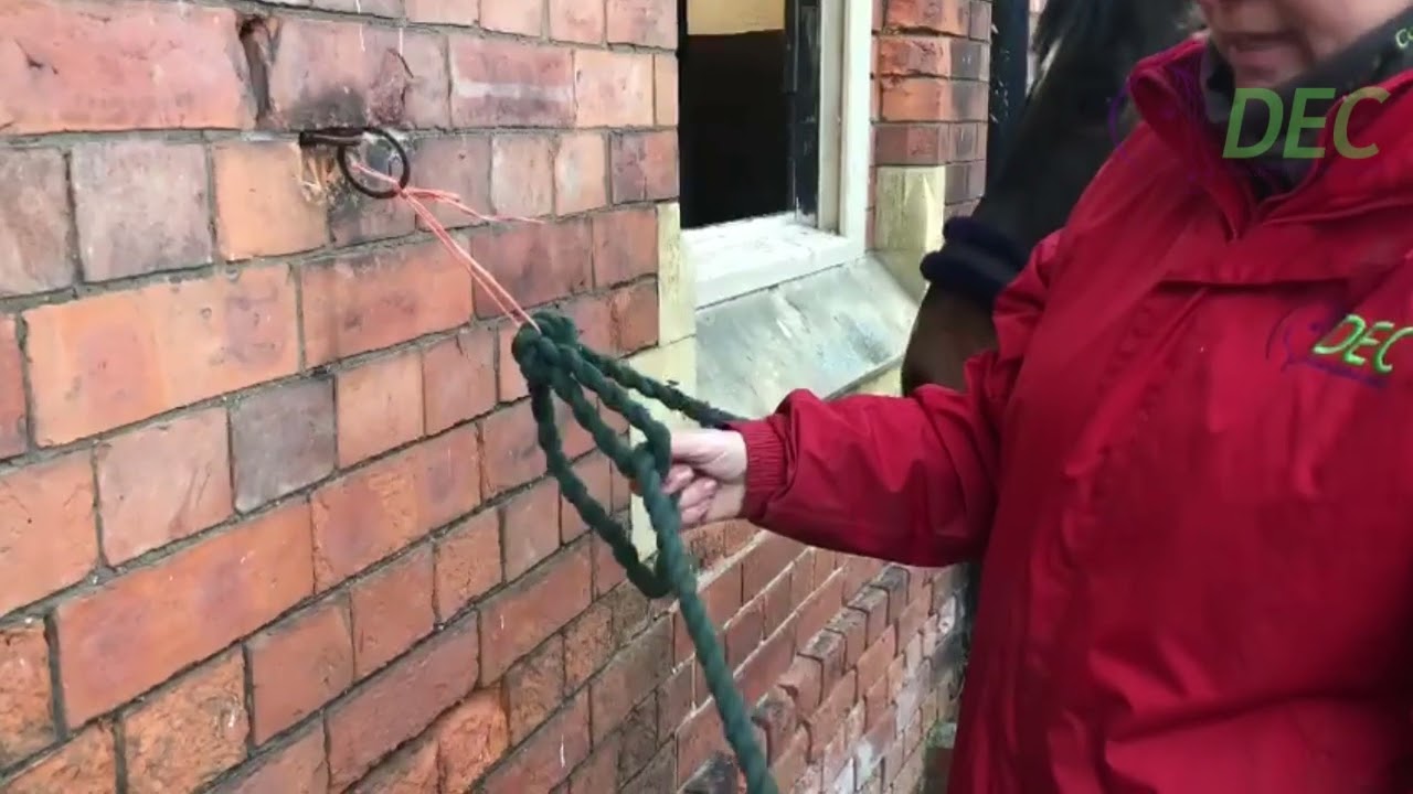 How To Correctly Tie Up A Horse