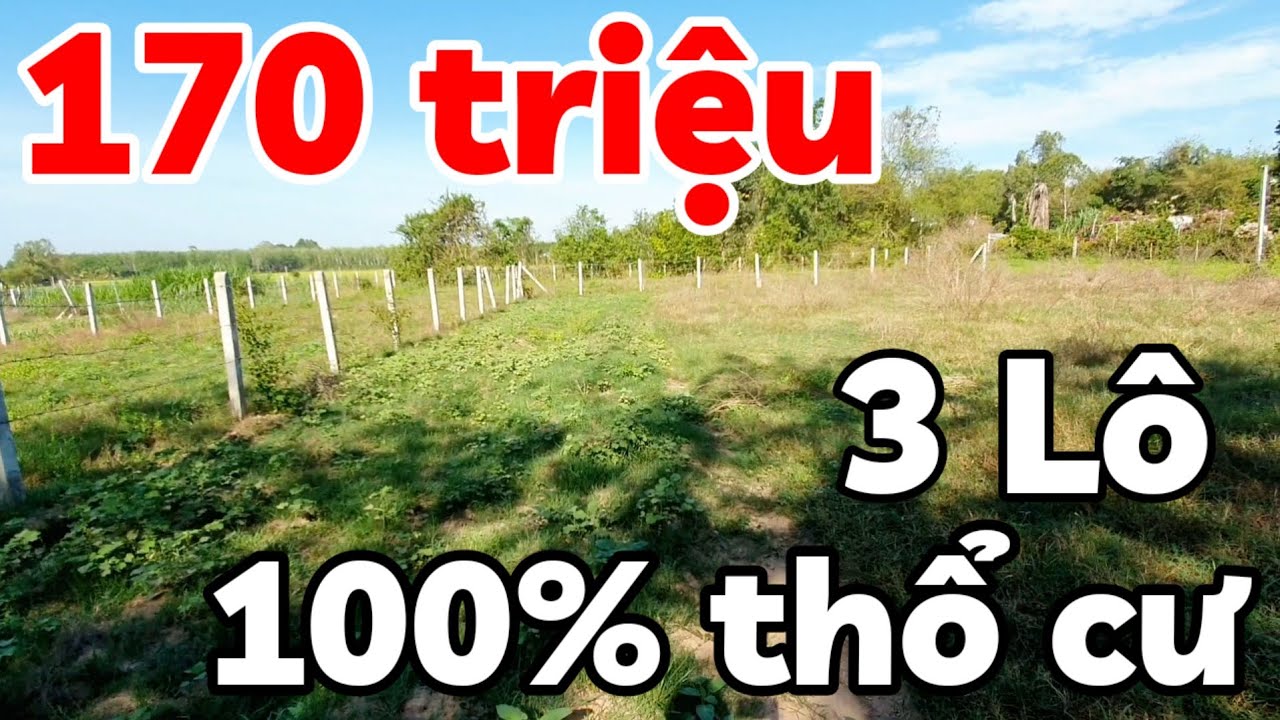 Đất 100% thổ cư 170 triệu sổ hồng riêng có 3 lô giá rẻ ở Phước Vinh Tây Ninh cách TPHCM 100km