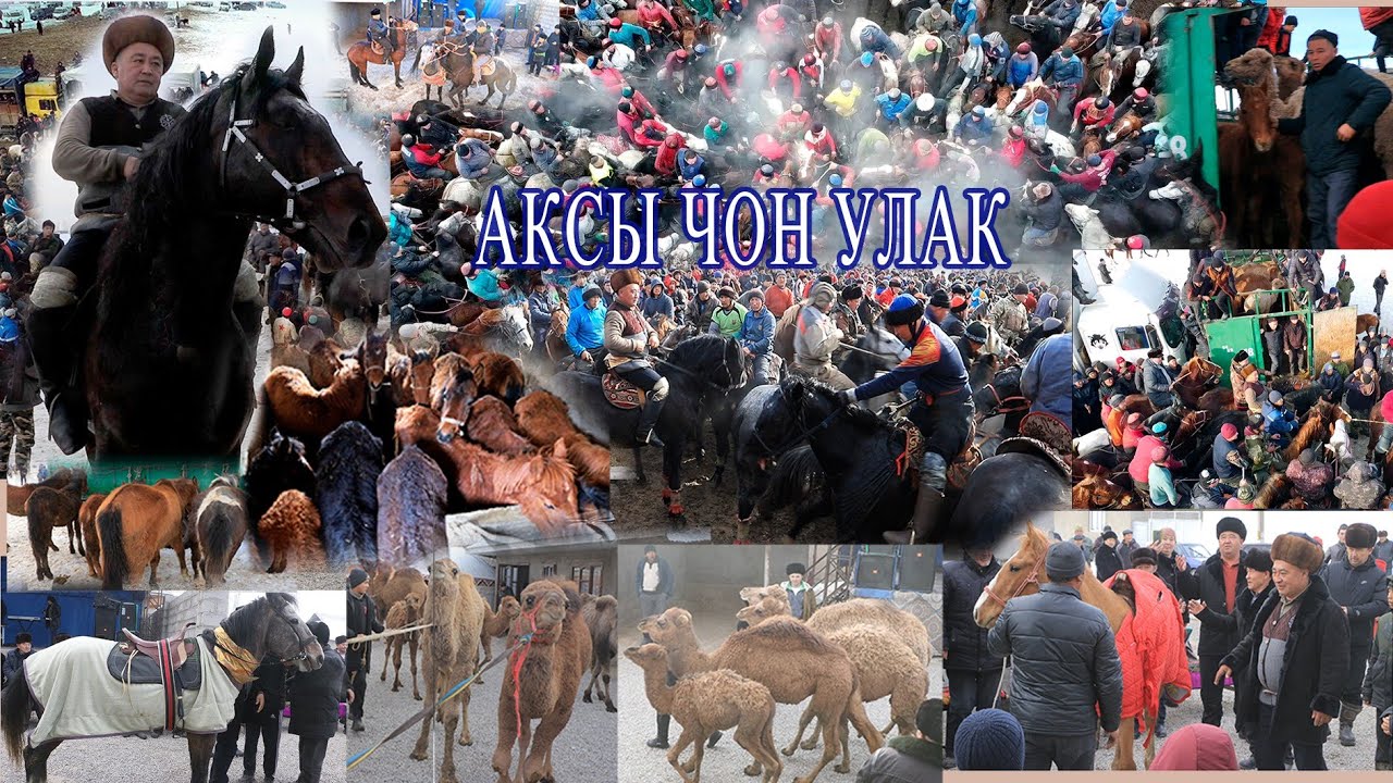 Аксы. Улаш балбан чон улак толук чыгарылышы 2-болук.