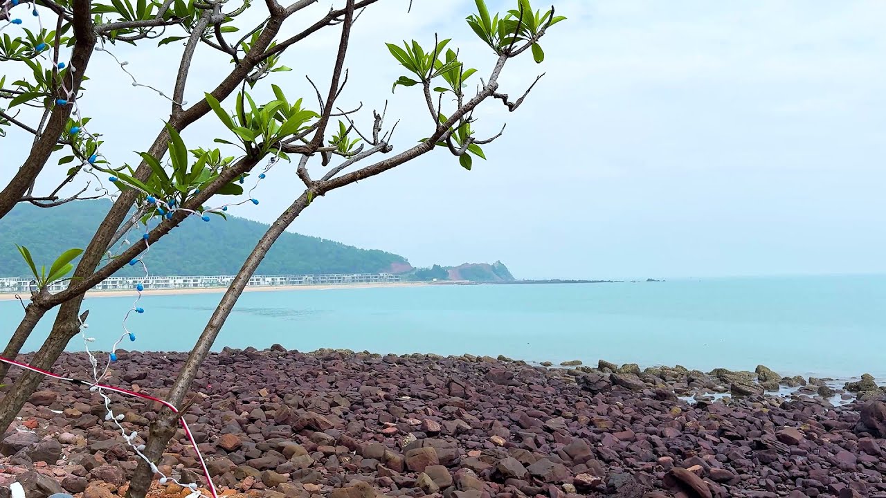 Peaceful Beach View | Serene Oceanfront Scenery with Mountains & Trees for Relax & Sleep