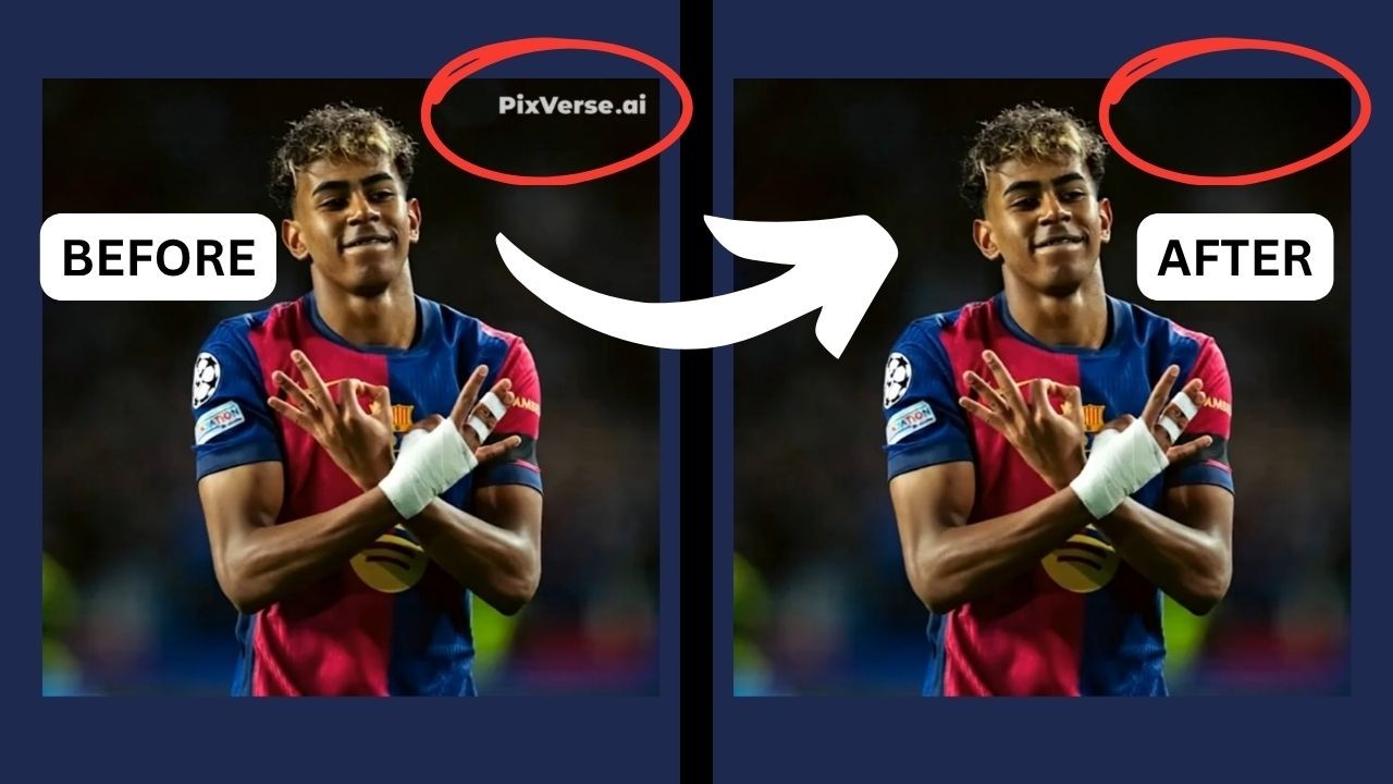 Remove Watermarks from Pictures & Videos for FREE!!!
